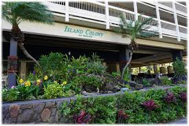 Front of Island Colony